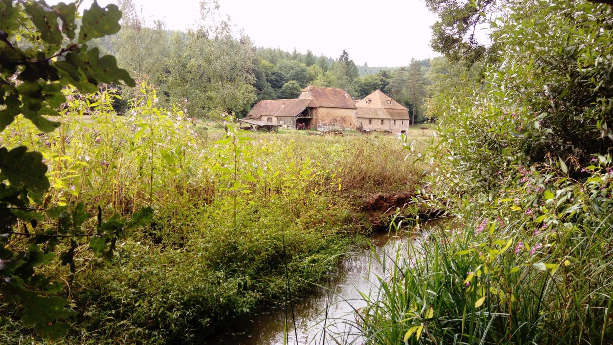 Maison D'Hotes De Charme - Ancien Moulin En Pleine Nature - La Paulusmuehle Soucht Esterno foto