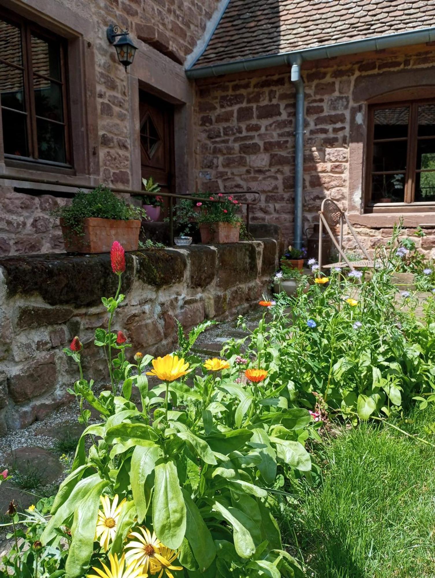Maison D'Hotes De Charme - Ancien Moulin En Pleine Nature - La Paulusmuehle Soucht Esterno foto